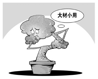 自認(rèn)&ldquo;大材小用&rdquo;，不如腳踏實(shí)地