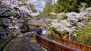 大陸對(duì)臺(tái)企臺(tái)胞送出&ldquo;大禮包&rdquo; 國(guó)臺(tái)辦：開(kāi)放力度大前所未有