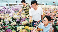 臺(tái)商眼中的改革開(kāi)放：風(fēng)景這邊獨(dú)好 要去，要去，要去！