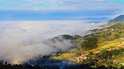 臺(tái)胞臺(tái)商熱議陜西惠臺(tái)&ldquo;60條&rdquo;：期盼落實(shí)、共享機(jī)遇