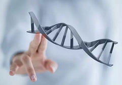 小細(xì)胞肺癌需要做基因檢測嗎？