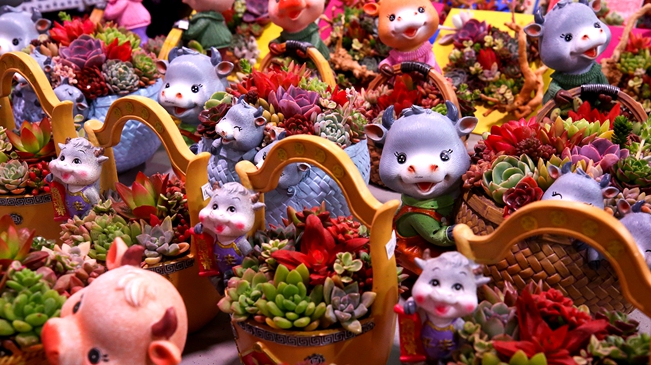 就地過年 你準(zhǔn)備好了嗎？