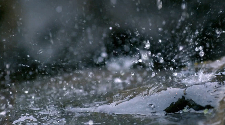 城市內(nèi)澇暴雨避險指南來了！