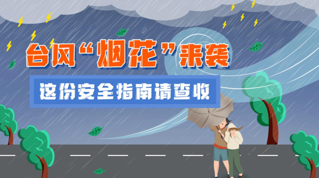 MG動畫：臺風(fēng)&ldquo;煙花&rdquo;來襲，這份安全指南請查收