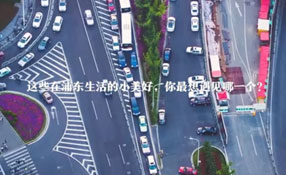 在浦東生活的小美好 你最想遇見哪一個？