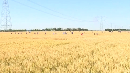 陜西：智能平臺助力夏收 實現(xiàn)農(nóng)機資源共享