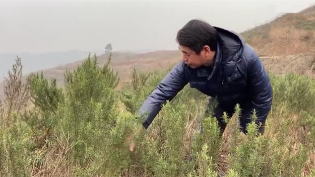 新春走基層｜脫貧后，駐村扶貧隊(duì)長(zhǎng)在干啥？