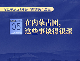 習(xí)近平2021兩會(huì)&ldquo;微鏡頭&rdquo;之三 3月5日 在內(nèi)蒙古團(tuán)，這些事談得很深