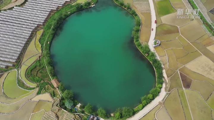 稻田新插，這里的山村美翻了！