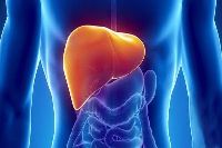 【健康解碼】轉(zhuǎn)氨酶輕度升高要不要緊？