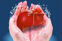 【健康解碼】轉(zhuǎn)氨酶正常肝臟就一定正常嗎？