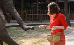 勐巴拉娜西！&ldquo;洋記者&rdquo;帶你游西雙版納