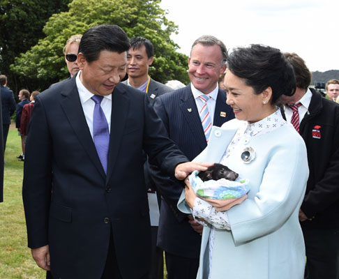 11月18日，國家主席習(xí)近平在澳大利亞塔斯馬尼亞州與朗塞斯頓市斯科奇－歐克伯恩小學(xué)的小學(xué)生共同植樹。這是習(xí)近平和夫人彭麗媛植樹后撫摸袋獾。新華社記者 馬占成 攝