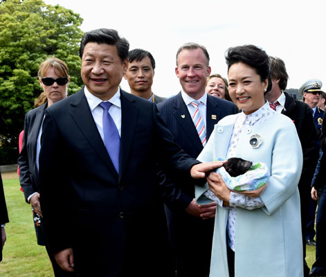 11月18日，國家主席習(xí)近平在澳大利亞塔斯馬尼亞州與朗塞斯頓市斯科奇－歐克伯恩小學(xué)的小學(xué)生共同植樹。這是習(xí)近平和夫人彭麗媛植樹后撫摸袋獾。新華社記者 饒愛民 攝