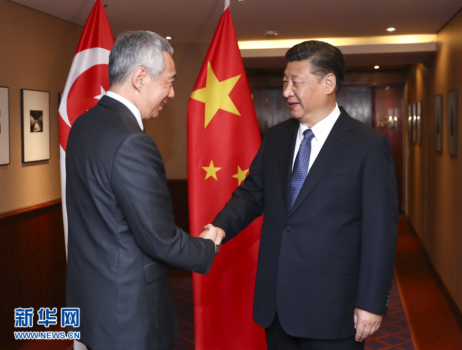 7月6日，國(guó)家主席習(xí)近平在漢堡會(huì)見(jiàn)新加坡總理李顯龍。 新華社記者謝環(huán)馳 攝