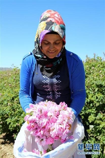 (國際·圖文互動)通訊:土耳其“玫瑰經(jīng)濟”看好中國市場