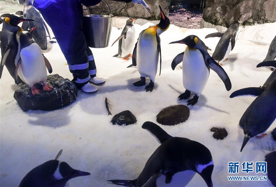 (國際·一周看天下)海洋館