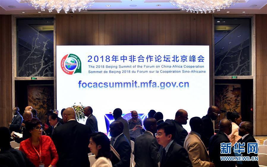 (中非合作論壇·圖文互動(dòng))(2)共筑繁榮發(fā)展的未來(lái)之橋——中非合作論壇北京峰會(huì)前瞻