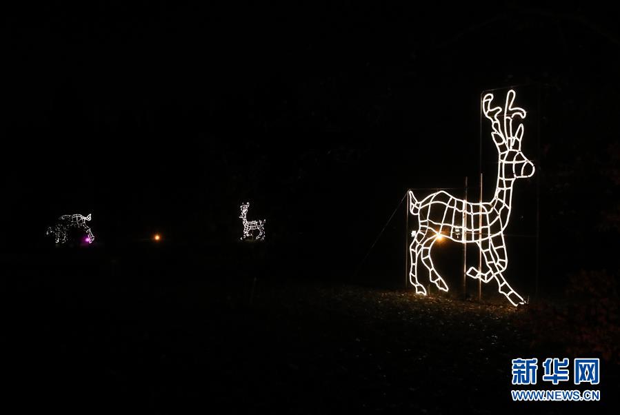 （國(guó)際）（5）&ldquo;柏林圣誕花園&rdquo;燈光秀開幕