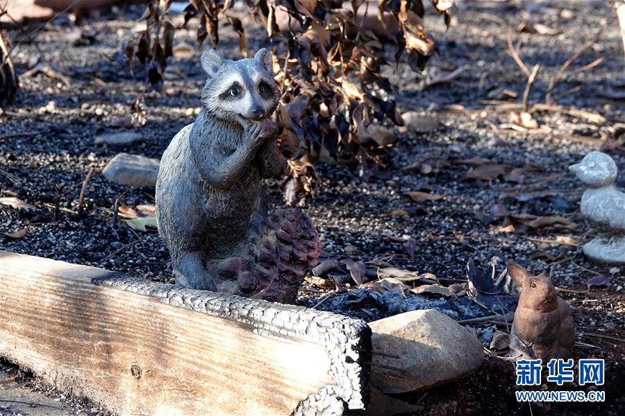 （國際&middot;圖文互動）（4）一場山火，讓這個冬天格外冷&mdash;&mdash;探訪美國加州山火災區(qū)