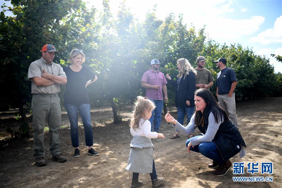 （國(guó)際&middot;圖文互動(dòng)）（1）&ldquo;這些樹(shù)寄托著我們對(duì)中國(guó)市場(chǎng)的信心&rdquo;&mdash;&mdash;探訪(fǎng)美俄勒岡州榛子果農(nóng)