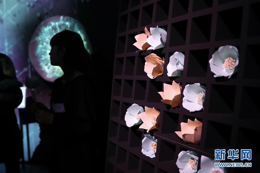 （國際）（3）日本東京：寒冬時(shí)節(jié)賞&ldquo;繁花&rdquo; 