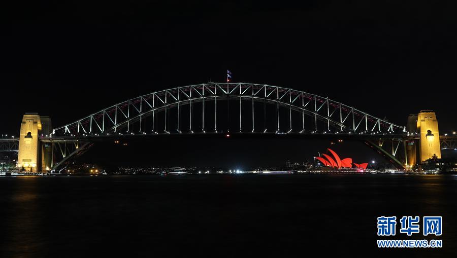 (國(guó)際)(6)共慶中國(guó)年