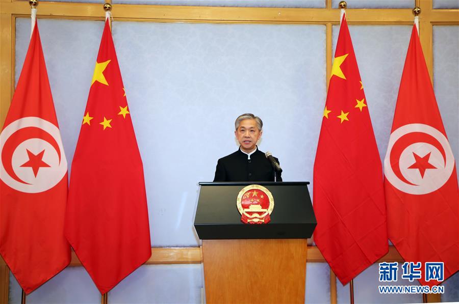 (XHDW·圖文互動)(2)五湖迎亥歲 四海賀新春——我駐外使領(lǐng)館舉辦新春招待會喜迎農(nóng)歷新年