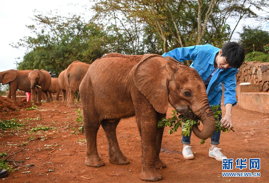 (國際·圖文互動(dòng))(2)專訪:環(huán)保要以身作則 從身邊小事做起——訪聯(lián)合國環(huán)境署親善大使王俊凱