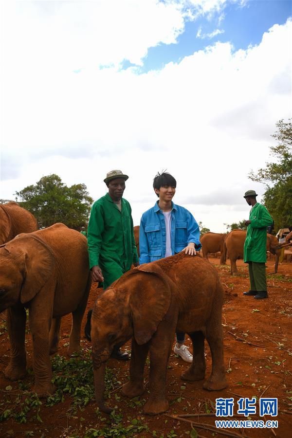 (國際·圖文互動(dòng))(3)專訪:環(huán)保要以身作則 從身邊小事做起——訪聯(lián)合國環(huán)境署親善大使王俊凱