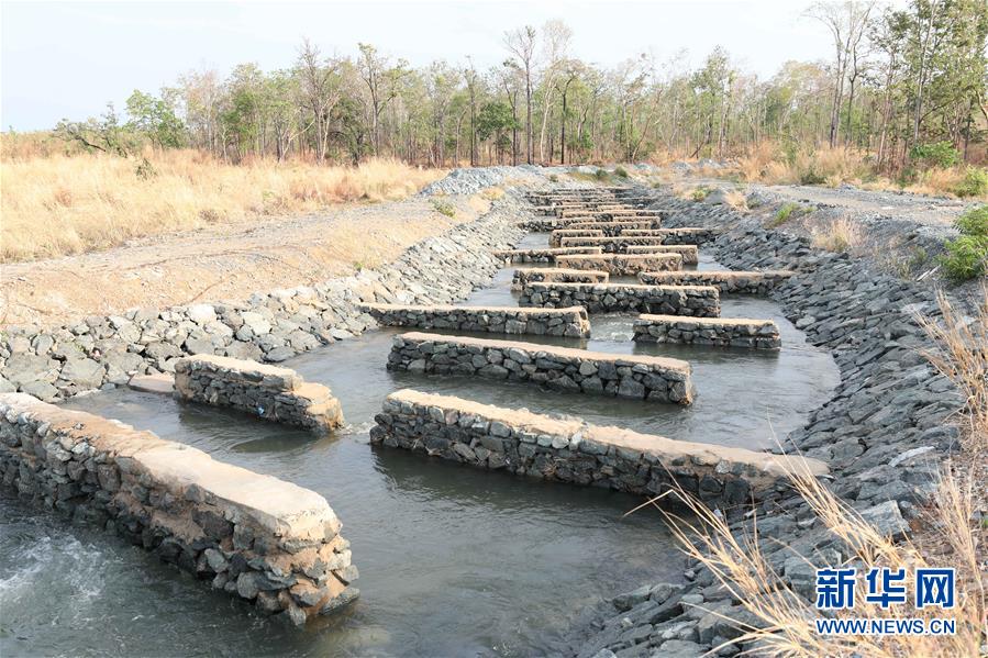 (國際·“一帶一路”高峰論壇·圖文互動)(2)通訊:為魚兒保障回家的路——中國水電工程助力柬埔寨綠色發(fā)展