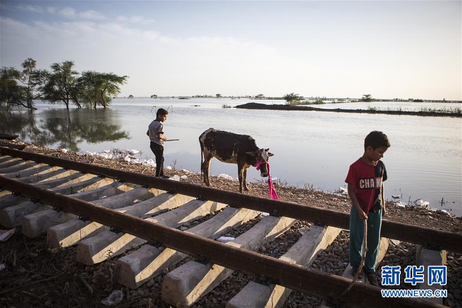 （國(guó)際）（5）鐵軌上的&ldquo;家&rdquo;