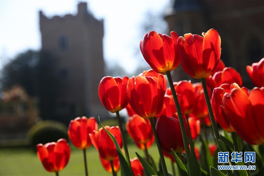 （國(guó)際&middot;北京世園會(huì)）（18）世界園林巡禮&mdash;&mdash;比利時(shí)拜加登城堡