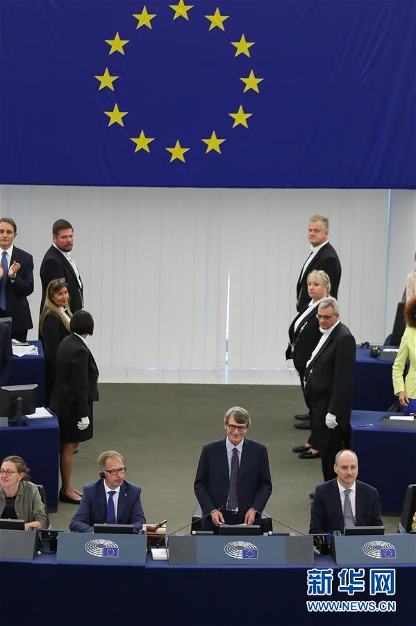 (國際)(3)意大利議員薩索利當(dāng)選歐洲議會新議長