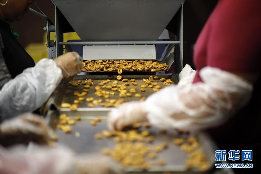 (國際·圖文互動(dòng))(8)通訊:期待美中盡早達(dá)成貿(mào)易協(xié)議——颶風(fēng)和關(guān)稅夾擊下的美國山核桃種植戶盼重回中國市場