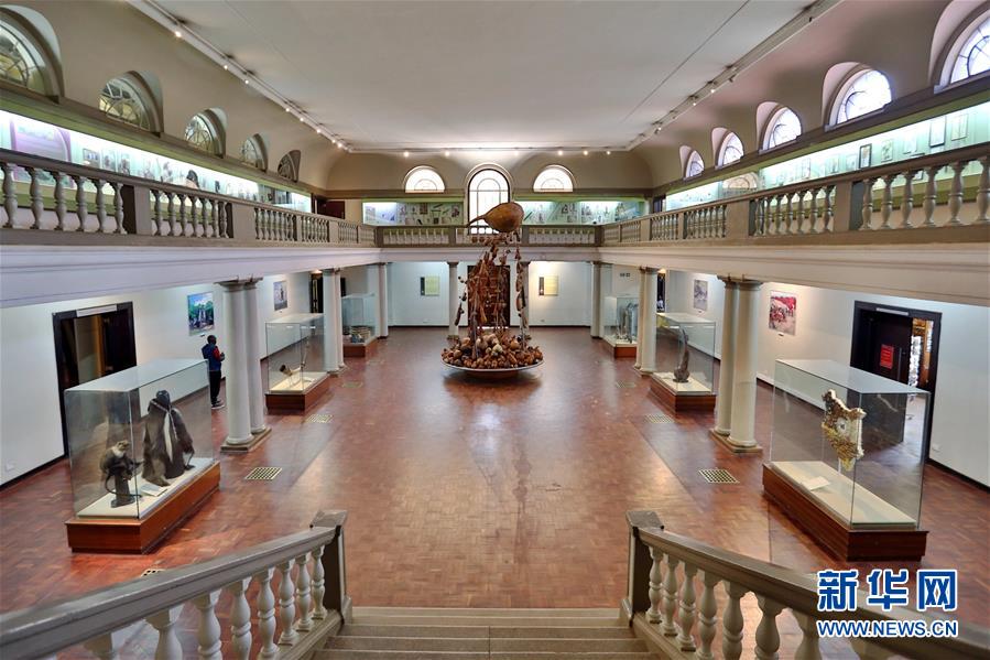 (國(guó)際)(10)探訪非洲博物館