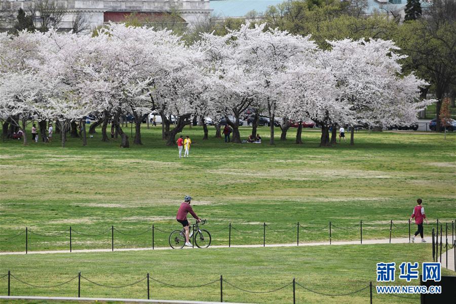 (國(guó)際疫情)(1)約翰斯·霍普金斯大學(xué):美國(guó)新冠肺炎確診病例超10萬(wàn)例