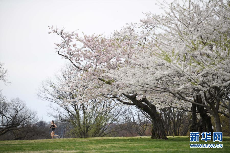 (國(guó)際疫情)(3)約翰斯·霍普金斯大學(xué):美國(guó)新冠肺炎確診病例超10萬(wàn)例