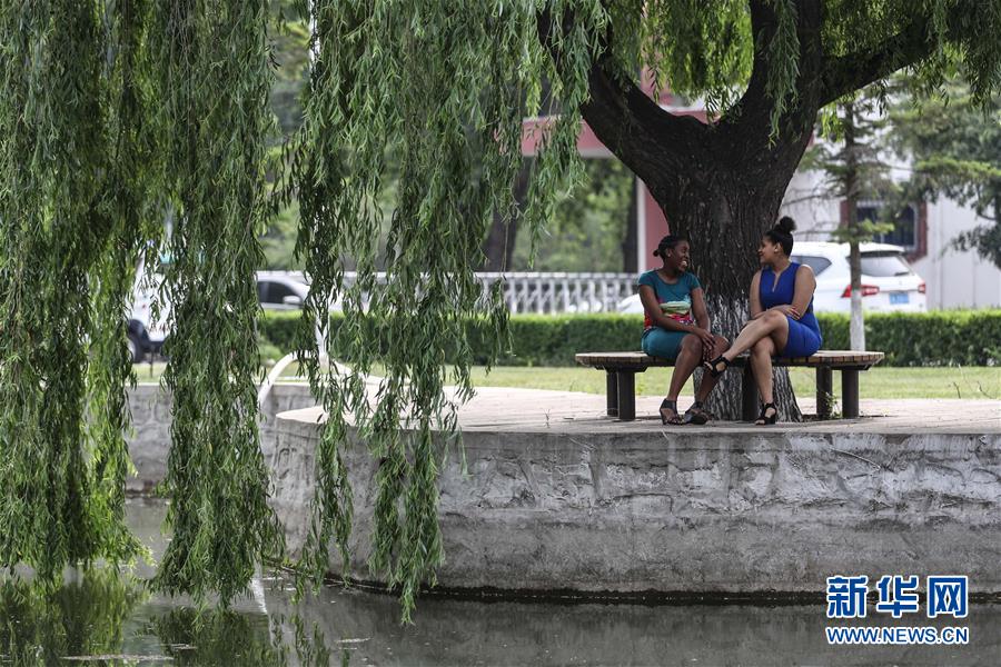 (中非團(tuán)結(jié)抗疫故事·圖文互動)(5)坦桑尼亞留學(xué)生譚麗:離家千里 生活一樣溫暖而多彩