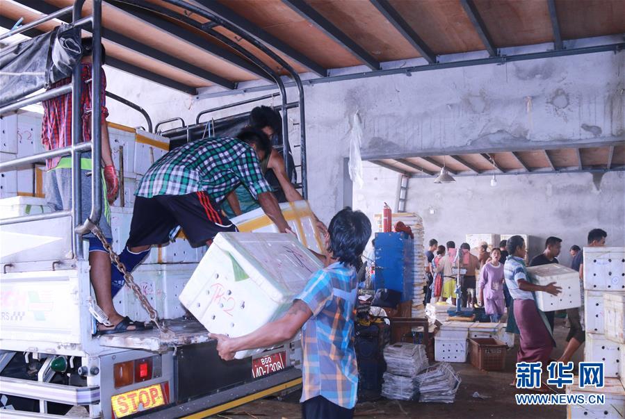 (新華全媒頭條·圖文互動(dòng))(7)中國(guó)—東盟自貿(mào)區(qū):“黃金十年”塑造世界經(jīng)貿(mào)新格局