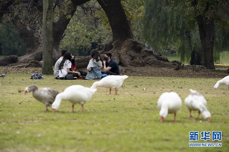 (國際疫情)(2)阿根廷單日新增新冠病例超7000例 創(chuàng)單日新增最高紀(jì)錄