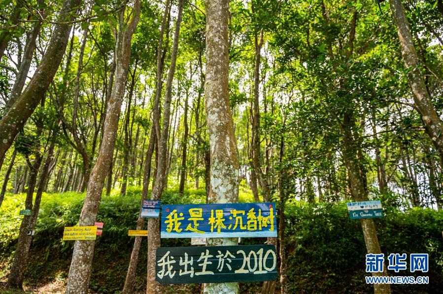 (第三屆進(jìn)博會(huì)·圖文互動(dòng))(10)專訪:進(jìn)博會(huì)提供了一個(gè)共享中國發(fā)展機(jī)遇的平臺(tái)