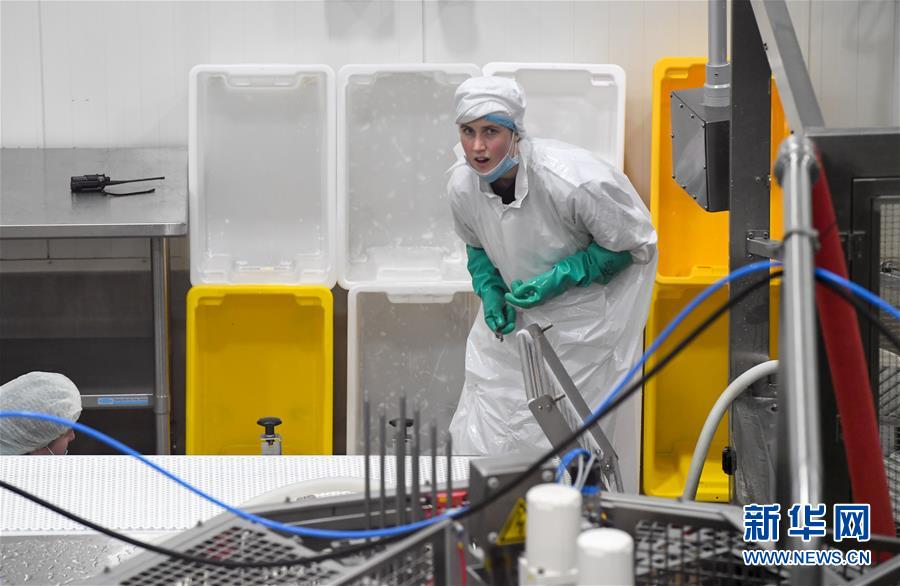 （第三屆進博會&middot;圖文互動）（2）通訊：新西蘭的進博會味道，甜