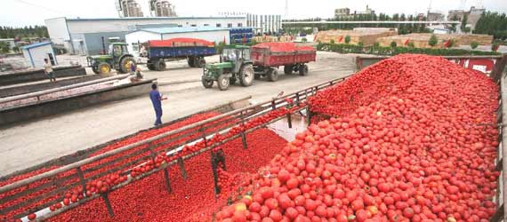 中國(guó)推動(dòng)構(gòu)建共贏、互信、發(fā)展的新絲綢之路