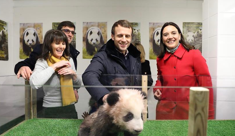 法國(guó)總統(tǒng)參觀大熊貓寶寶&ldquo;圓夢(mèng)&rdquo;