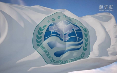 你好，上合！