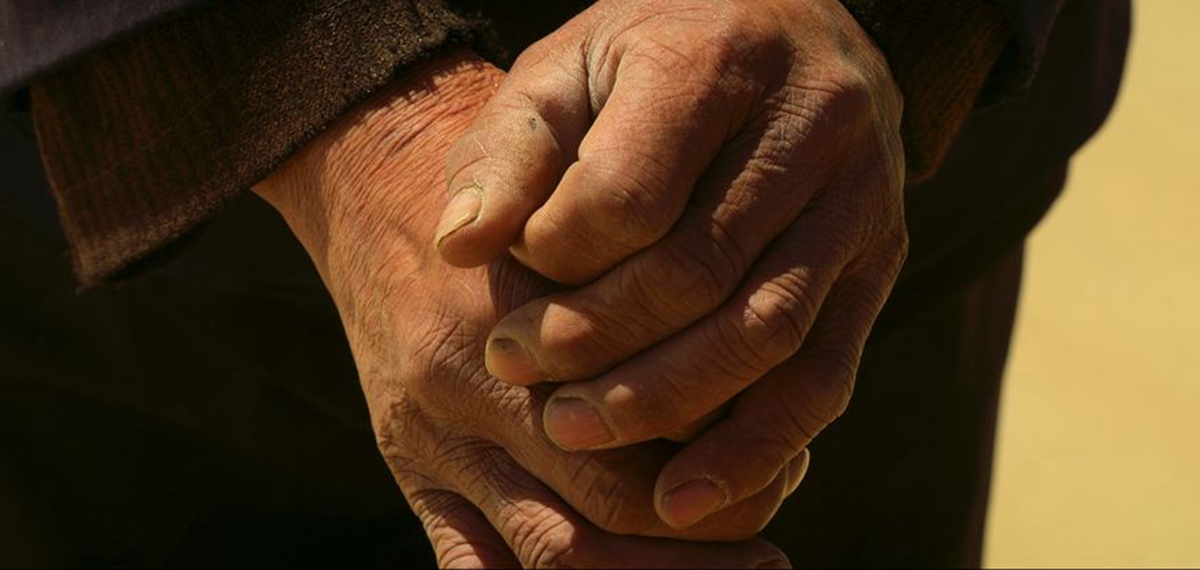 正式發(fā)布！《攜手，為人民》中國共產(chǎn)黨與世界政黨領(lǐng)導(dǎo)人峰會暖場片