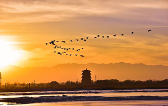 你想看的風景，這里都有