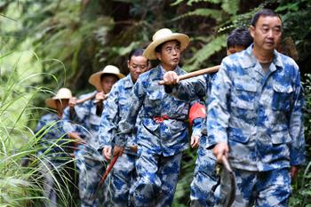 一片林&middot;一群人&middot;40年守護